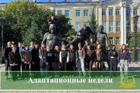 Адаптационные недели